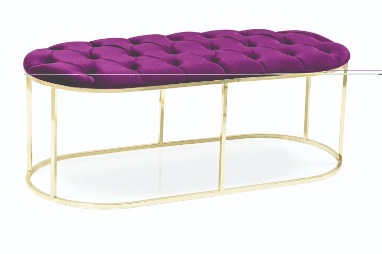 Venüs Bench